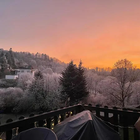 Premium - Waldblick - Balkon - Schwarzwald