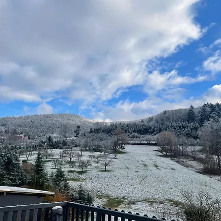Premium - Waldblick - Balkon - Schwarzwald アパート