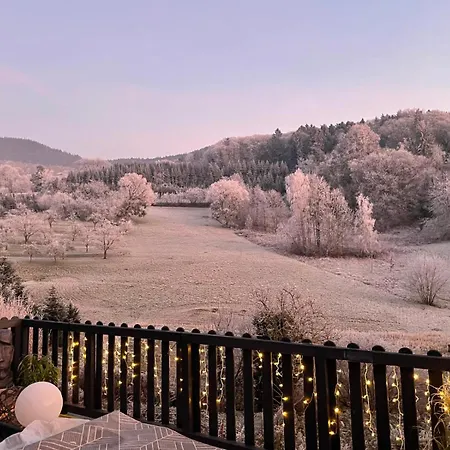 Premium - Waldblick - Balkon - Schwarzwald *