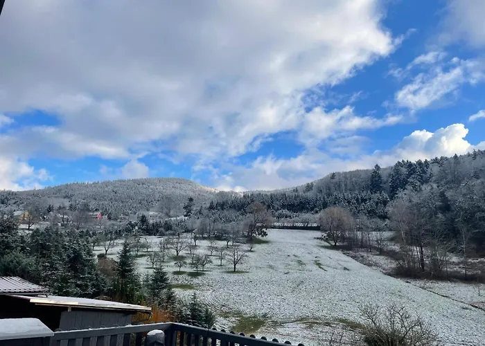 Premium - Waldblick - Balkon - Schwarzwald Appartement